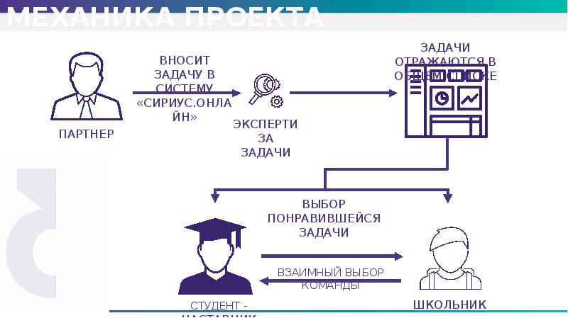 Сириус лето начни свой проект 2022 2023