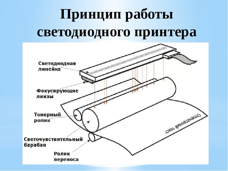 Принцип работы светодиодного принтера Принцип работы светодиодного принтера