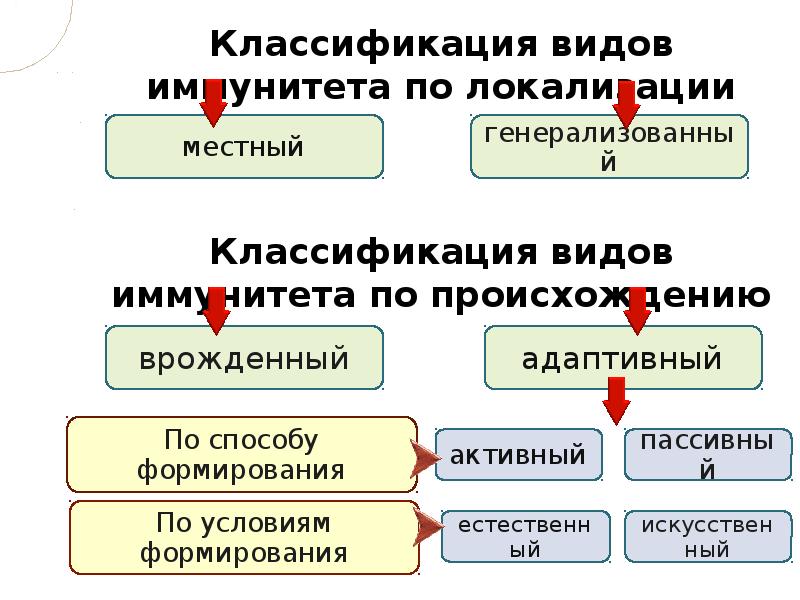 Клеточные факторы врожденного иммунитета. Врожденный иммунитет абсолютный и относительный. Феномены врожденного иммунитета.