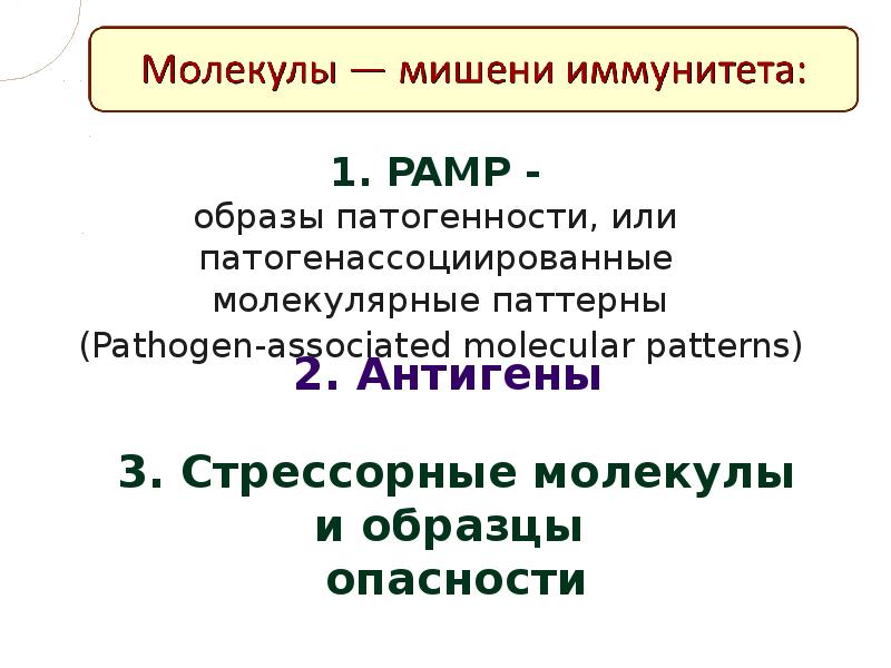 Иммунитет государства законы. Понятие об иммунитете.