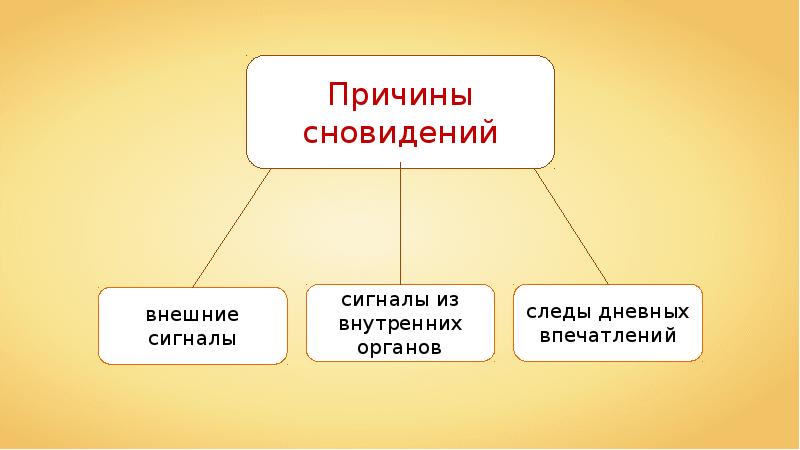 Презентация сон и бодрствование 8 класс пасечник