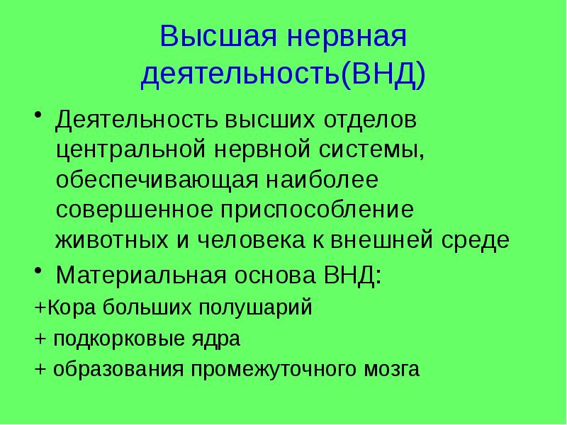 Проект высшая нервная деятельность