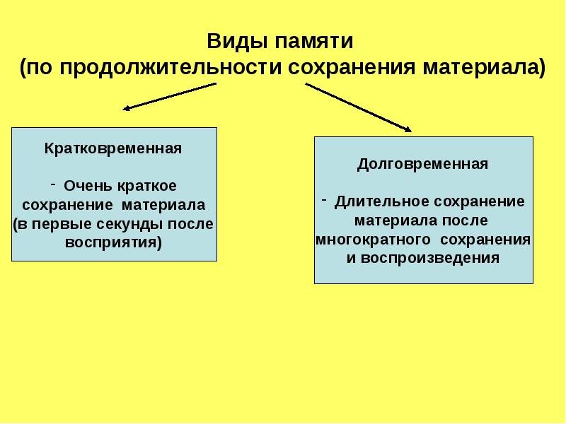 Особенности внд познавательные процессы презентация 8 класс