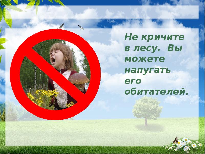 Почему нельзя шуметь в лесу 1 класс презентация