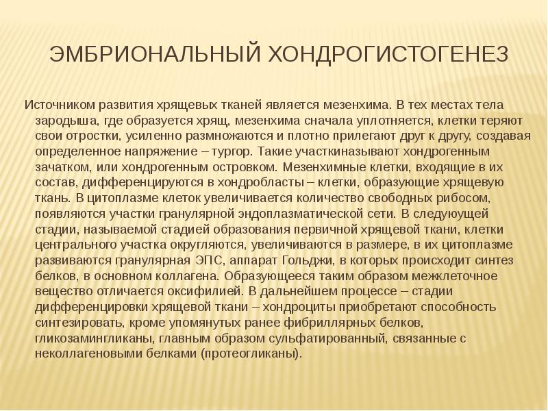 Эмбриональный хондрогистогенез
Источником развития хрящевых тканей является мезенхима. В тех местах Эмбриональный хондрогистогенез
Источником развития хрящевых тканей является мезенхима. В тех местах