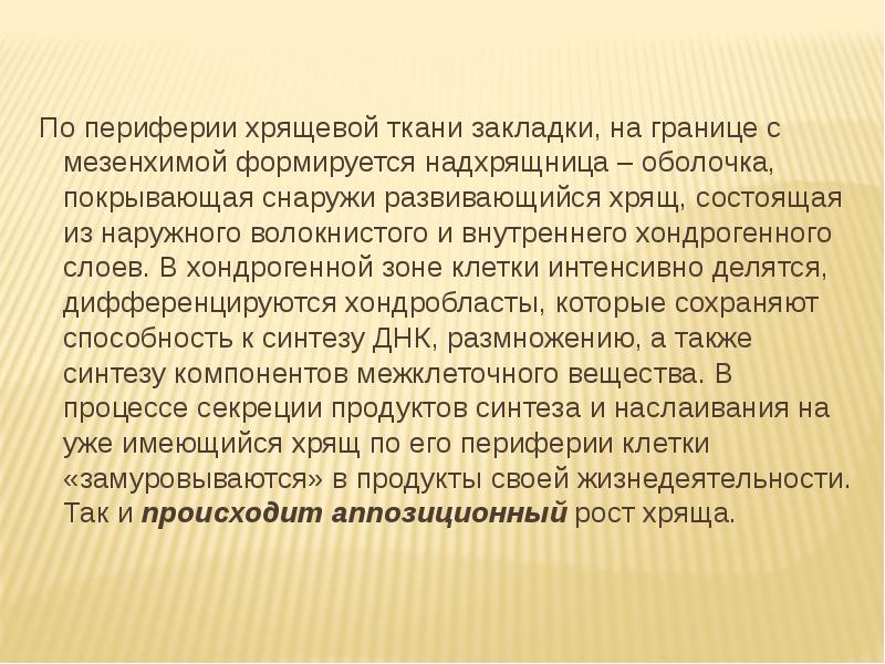 По периферии хрящевой ткани закладки, на границе с мезенхимой формируется надхрящница По периферии хрящевой ткани закладки, на границе с мезенхимой формируется надхрящница