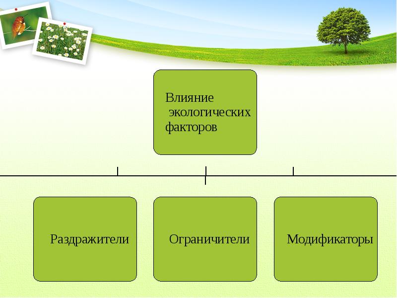 Организм и среда экологические факторы презентация 11 класс биология сивоглазов