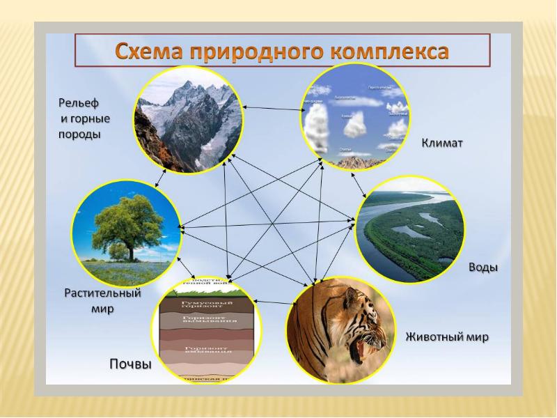 Природные комплексы как части географической оболочки презентация 6 класс