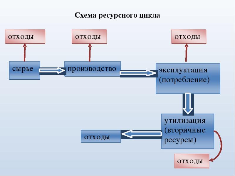 Система управления в природе презентация