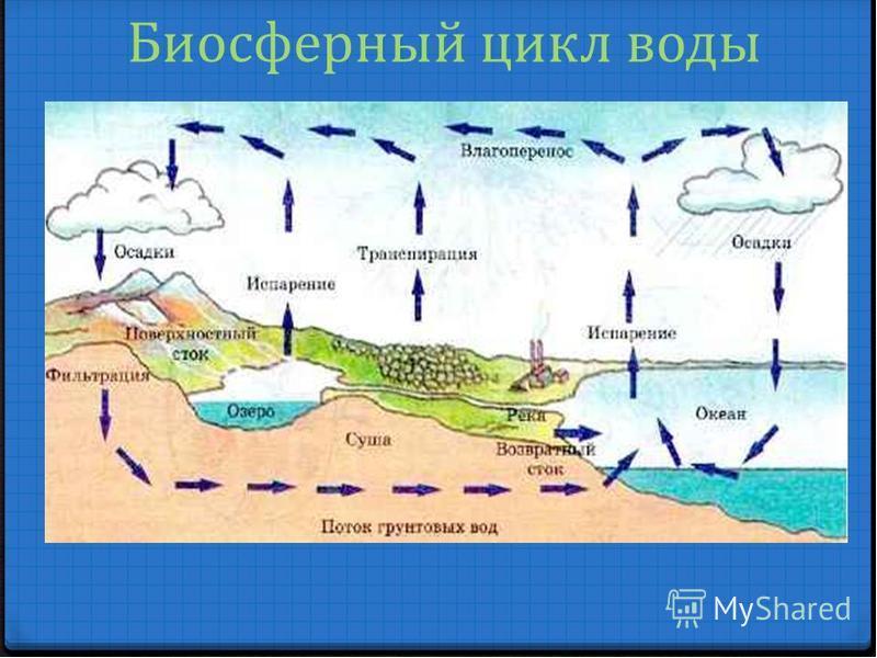 Биогеохимический цикл воды схема