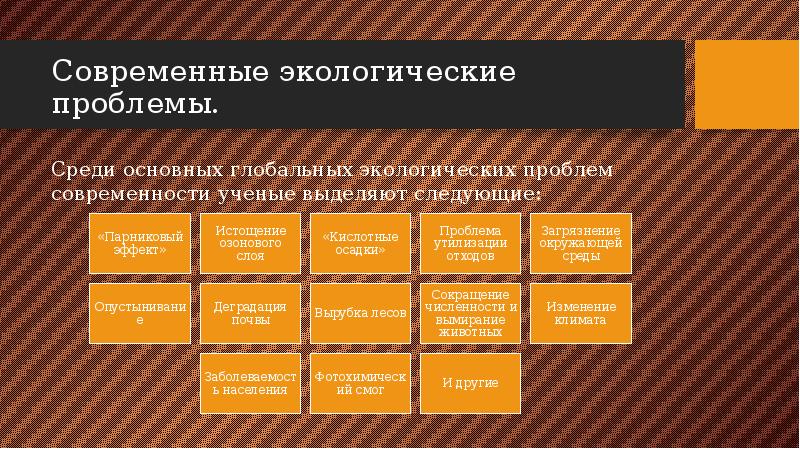 Экологические основы презентация