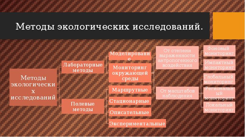 Общество и окружающая среда презентация 11 класс