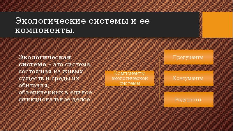 Экологические основы презентация