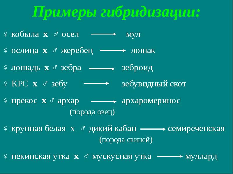 Методы разведения сельскохозяйственных животных презентация