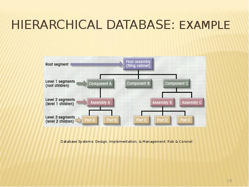 Hierarchical Database: Example Hierarchical Database: Example