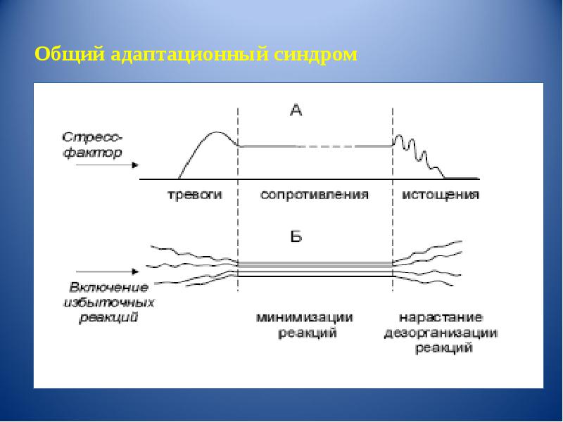 Комплексная оценка общего адаптационного синдрома у детей презентация