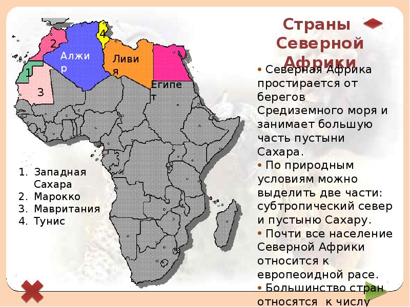Житель северной африки 6 букв. Состав территории Северной Африки. Страны Северной Африки на карте. Северо Западная часть Африки.