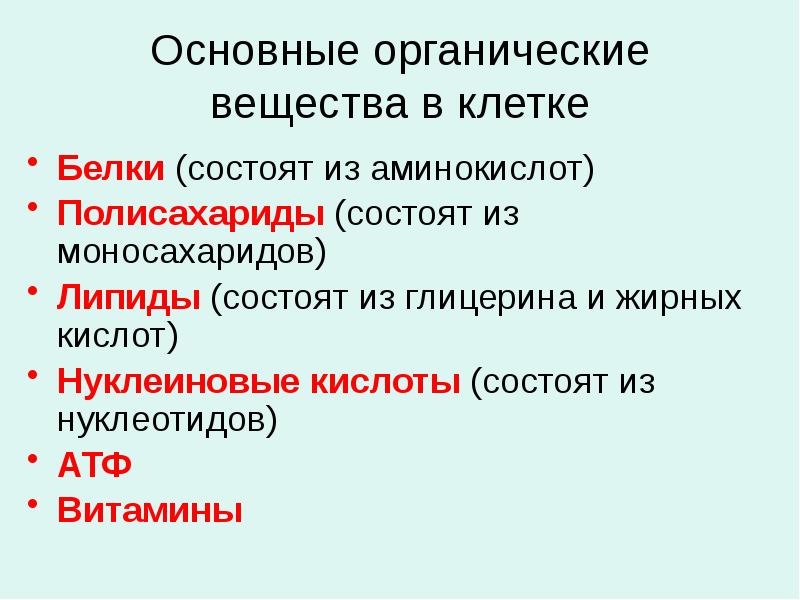 Основное органическое вещество клетки. Основные органические вещества клетки. Органические вещества клетки белки. Основное органическое вещество клетки это. Важнейшие органические вещества в клетке.