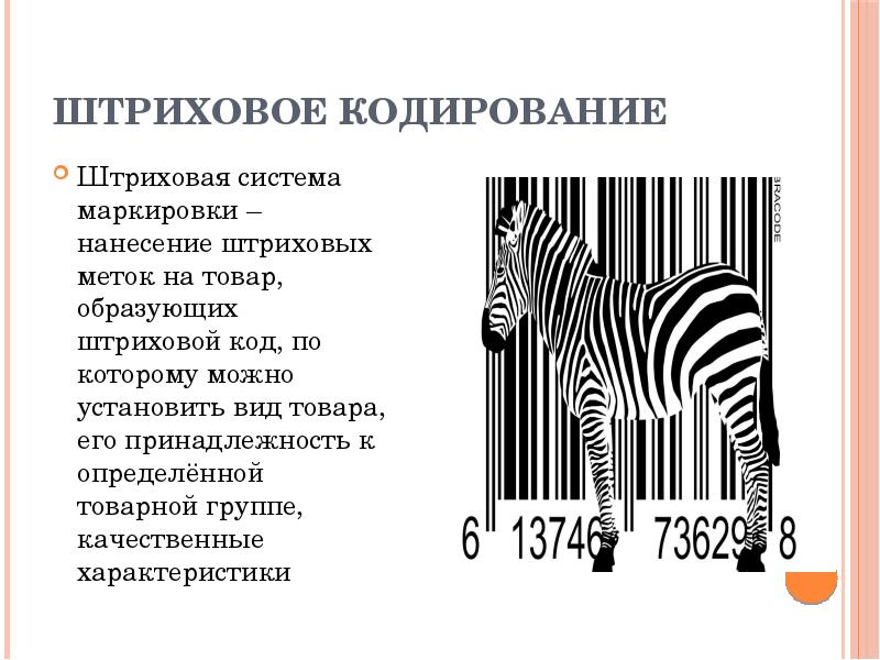 Штриховое кодирование. Маркировка и штриховое кодирование товаров. Система штрих кодирования. Виды штрихового кодирования.