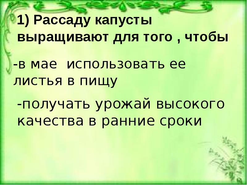 Презентация выращивание капусты