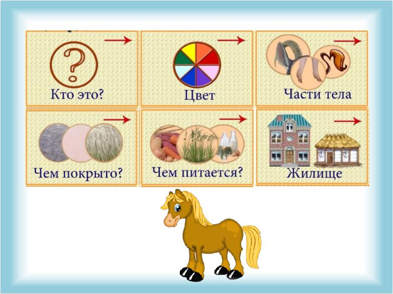 Описание животных средняя группа. Схема описания животного в средней группе.