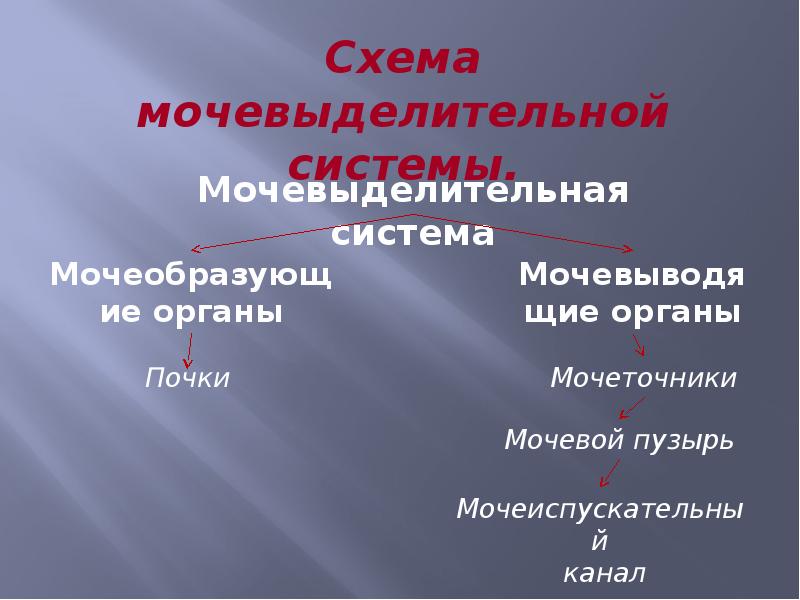 Ограниченно выделительная частица. Выделительно-ограничительную. Органы выделения рыб. Ограничительнаявыделительная частица. Органы выделения презентация.