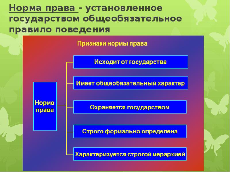 Виды социальных норм план