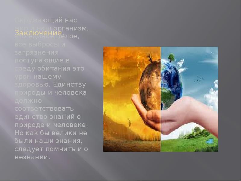 Природа единое целое. Единство человека и природы. Единство с природой. Единение человека с природой. Идея единства человека и природы..