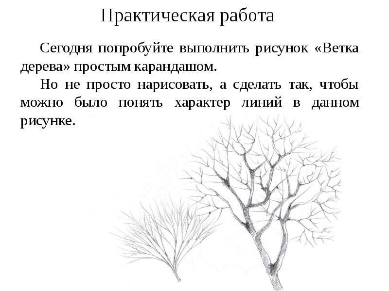 Линия как средство выражения характер линий. Дерево характера рисунок. характер линий дерево. «ветка». характер линий. весной. «ветка». характер линий..