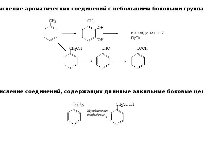 Ароматические вещества и их значение для человека проект по биологии