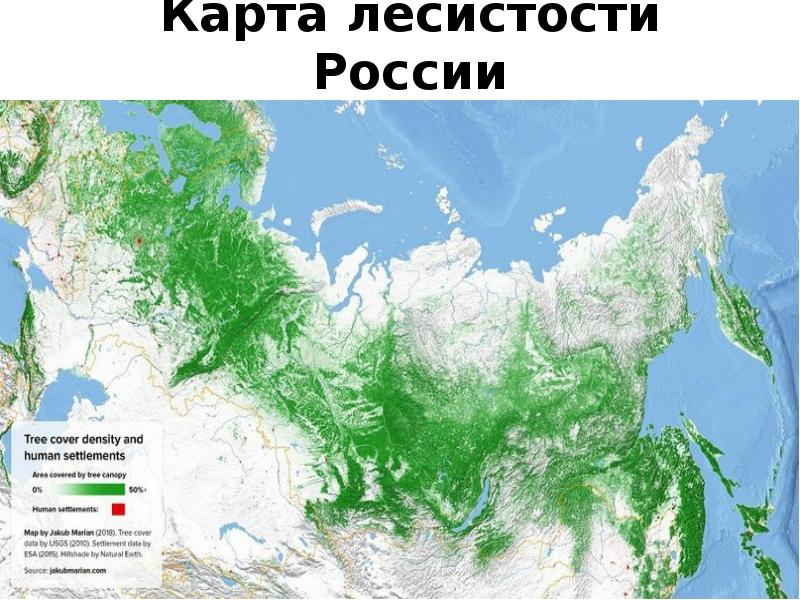 Карта лесистости России