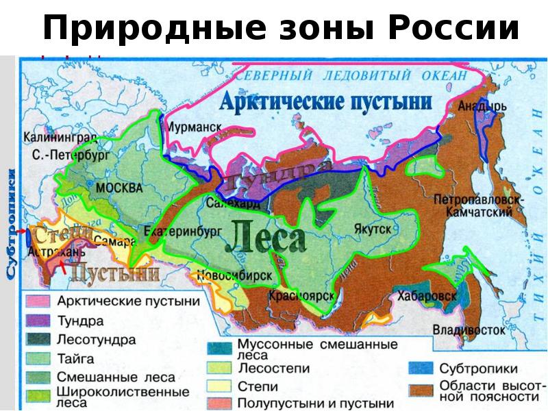 Природные зоны России