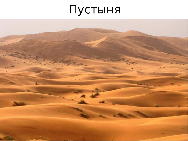 Пустыня