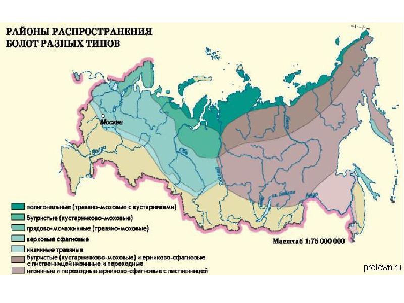 Особенности природы россии презентация