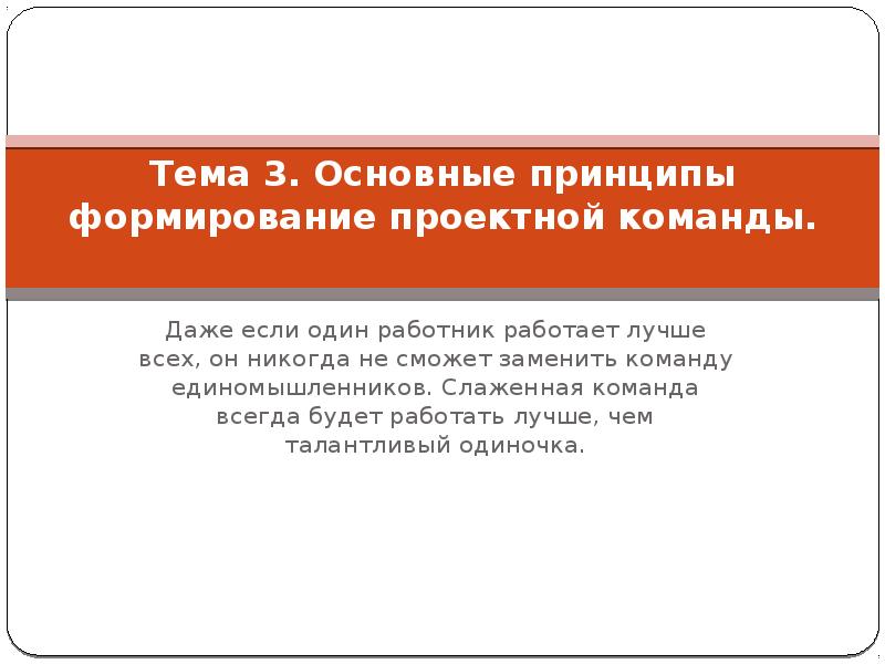 Факторы определяющие принципы формирования команды проекта