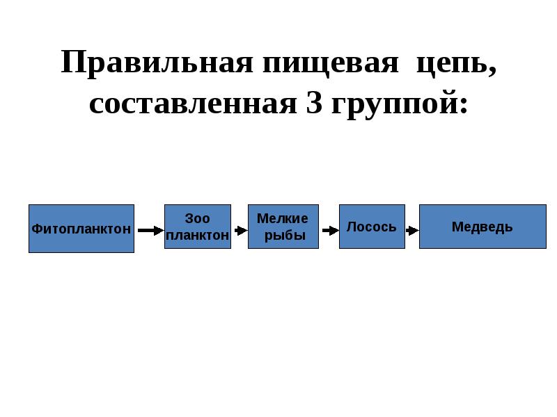 Составьте схему пищевых цепей начинающихся с фитопланктона