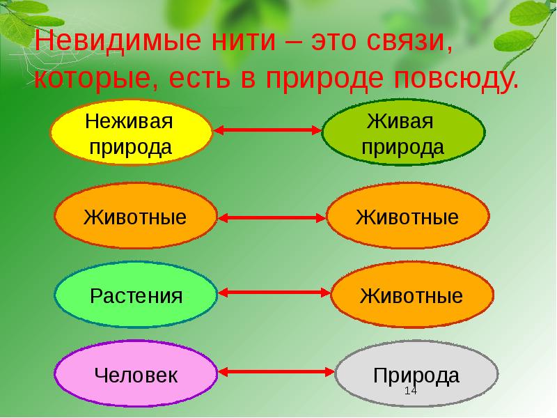 Примеры невидимые нити в весеннем лесу схема примеры