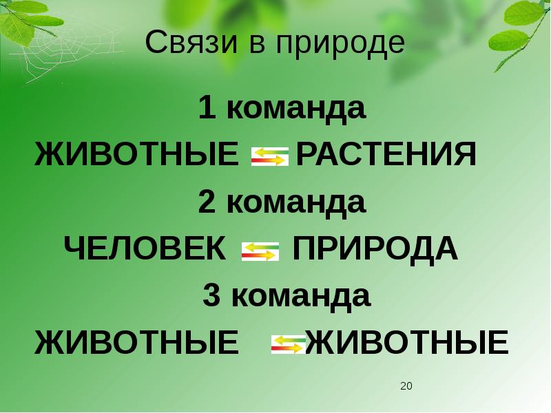 Невидимые нити в весеннем лесу в виде схемы 2 класс окружающий мир