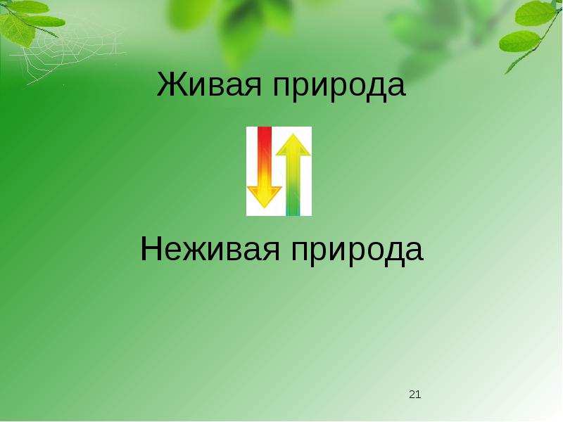 Тест невидимые нити в весеннем лесу 2 класс презентация перспектива