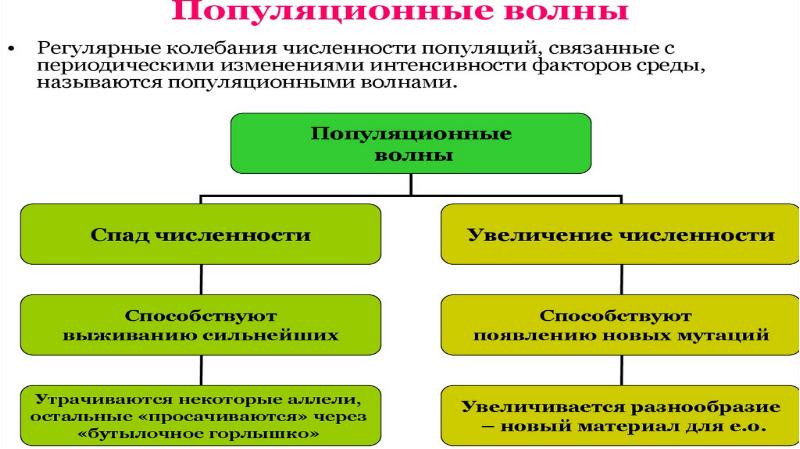 Презентация современные представления об эволюции органического мира 9 класс пономарева