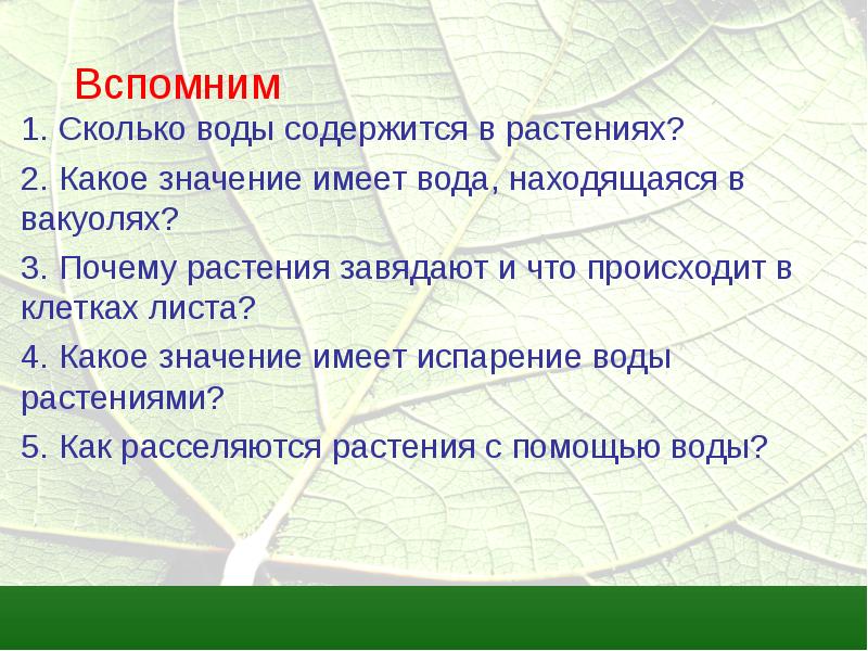 Презентация на тему экологические группы растений по отношению к воде