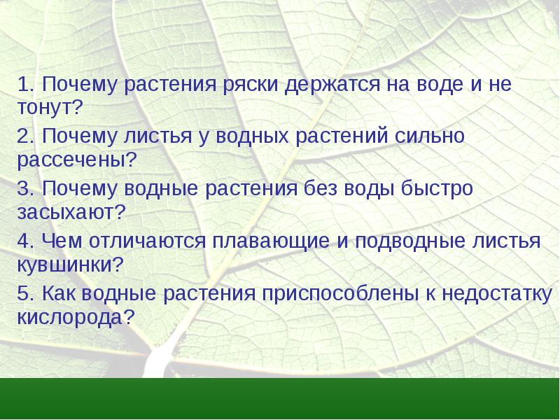 Экологические группы растений презентация 7 класс