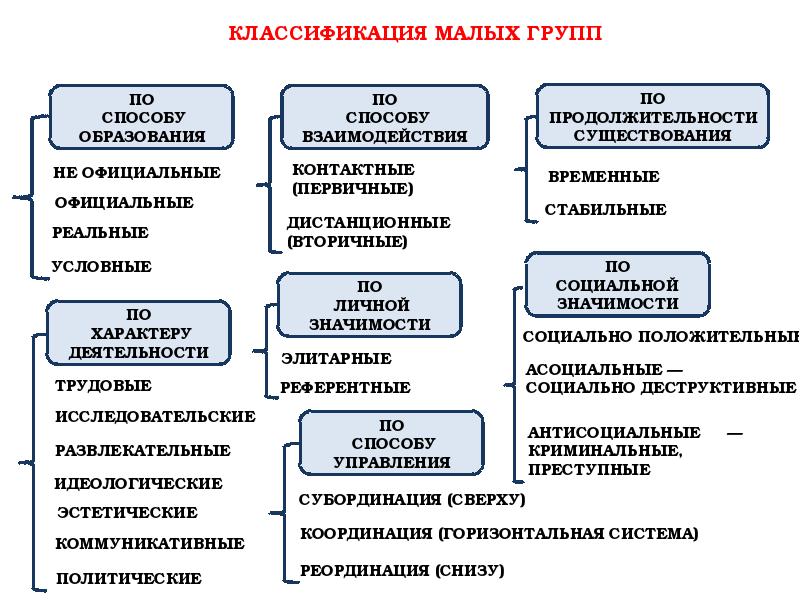 К ближнему окружению проекта относятся