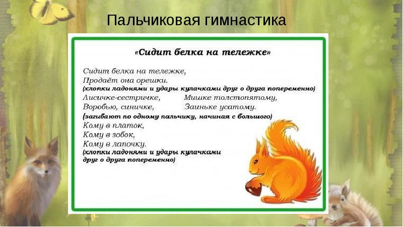 Запросы о диких животных. Запросы о диких животных