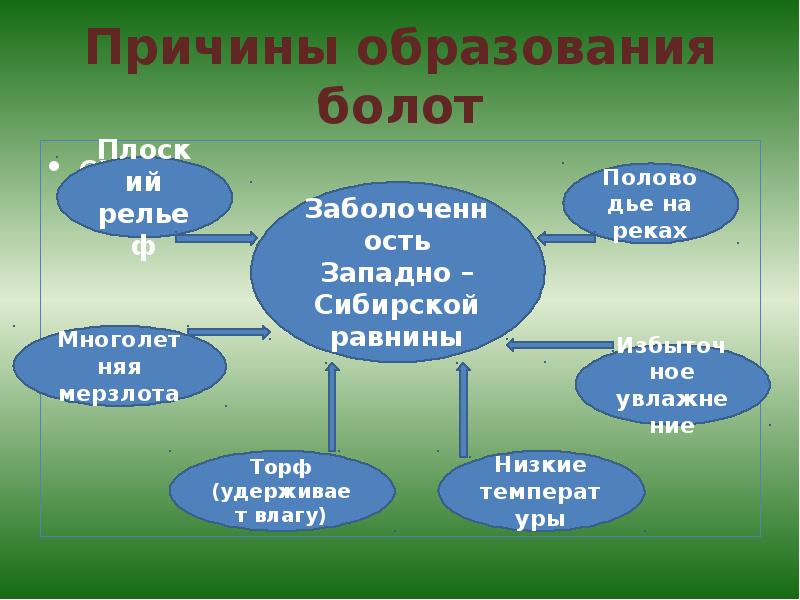 Объясните причины сильной заболоченности западной сибири равнины начертив соответствующую схему