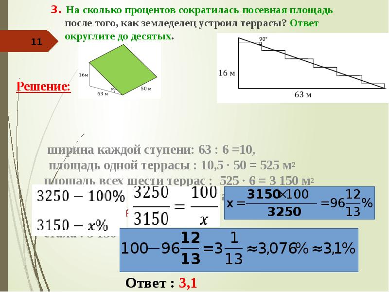 Сколько процентов площади всего участка занимает