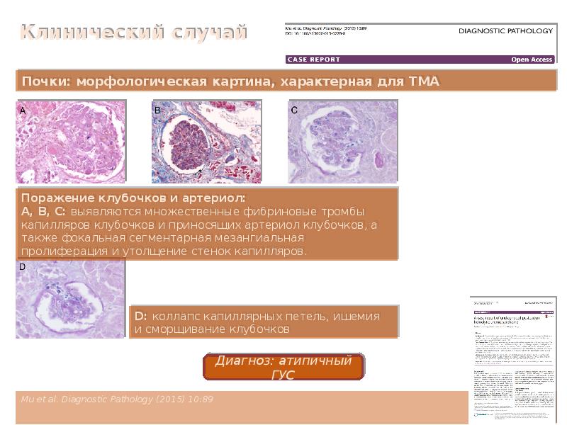 Морфологическая картина что это такое в медицине