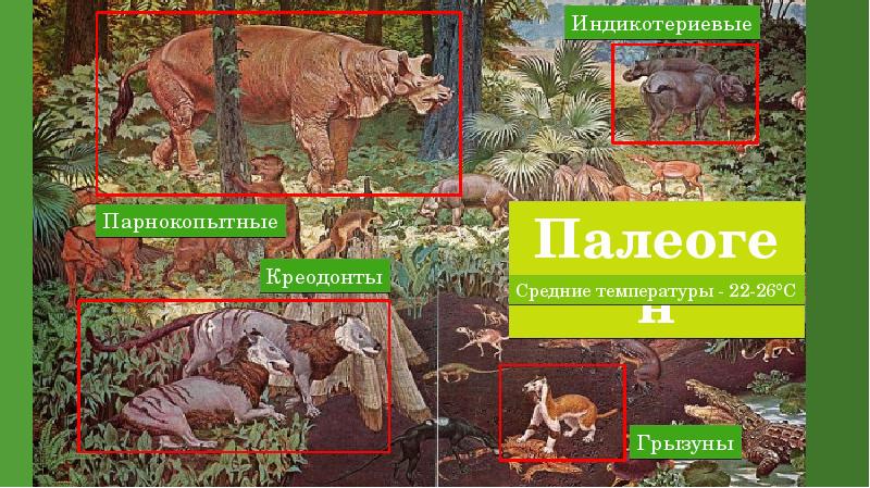 Кайнозойская эра проект