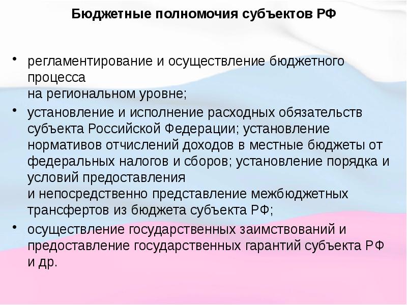 Бюджетная система рф презентация 11 класс