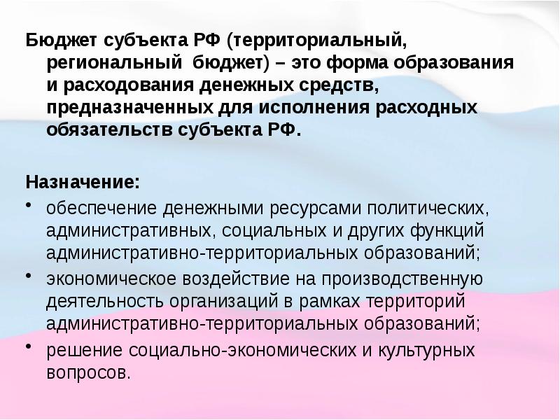 Бюджетная система рф презентация 11 класс